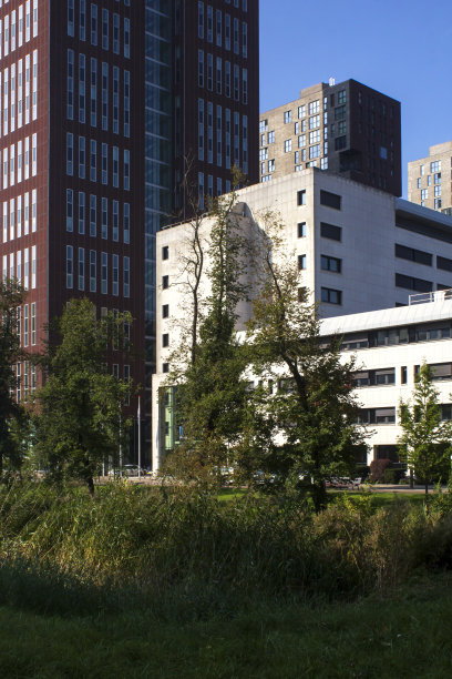 绿色城市图片下载