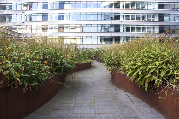 绿色城市图片下载