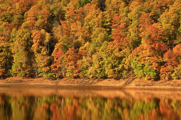 秋叶湖图片下载