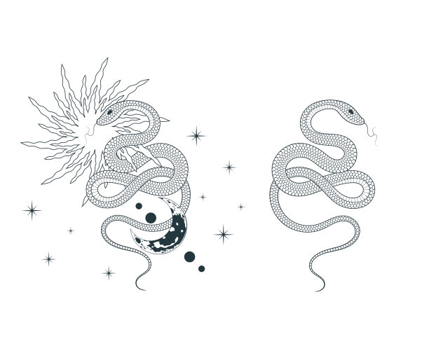天上有星星、月亮和蛇。复古风格的精神印花用于t恤设计、纹身、织物、卡片和封面。图片下载