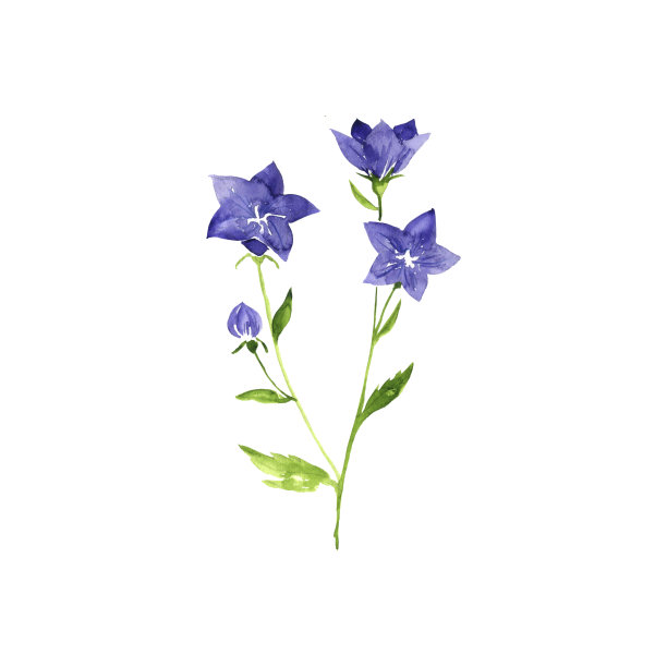 水彩画气球花图片下载