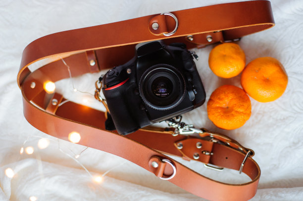 照片相机，皮带，桔子和圣诞灯的白色背景。图片下载