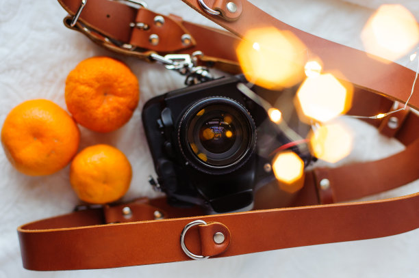 照片相机，皮带，桔子和圣诞灯的白色背景。图片下载
