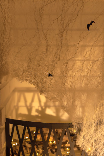 壁炉上有一只蜘蛛和一只蝙蝠。万圣节的概念。有选择性的重点。节日卡片图片下载