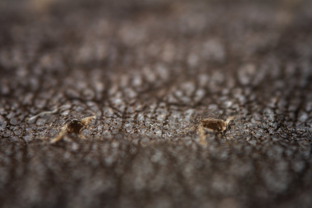 一个皮革的极端特写图片下载