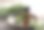 一束新鲜的迷迭香和一瓶精油放在木板上。图片下载