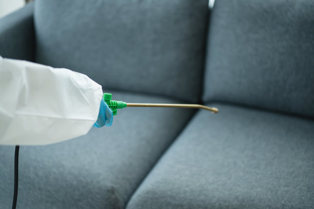 清洁人员在屋内消毒。图片下载