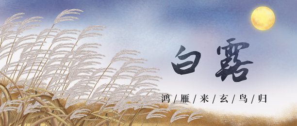 扁平大气创意白露节气公众号首图图片下载
