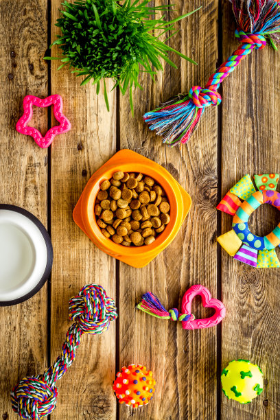 宠物配件与狗和猫的食物和玩具，俯视图图片下载