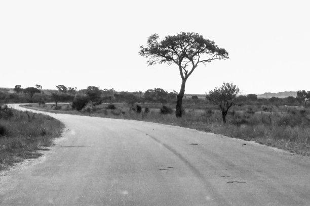 南非克鲁格国家公园的废弃道路，黑白照片。图片下载