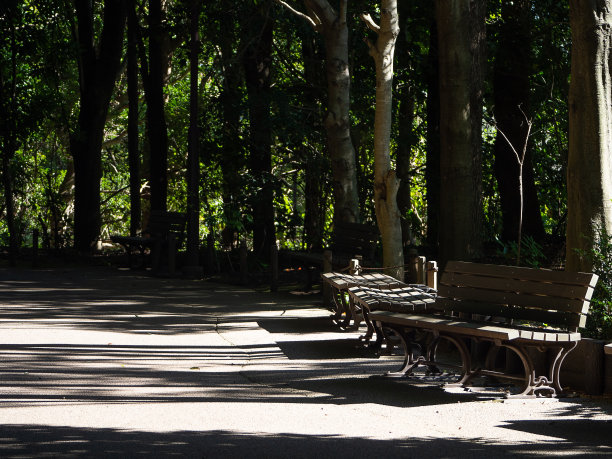 长椅和路径图片下载