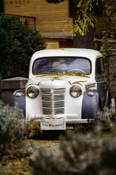 就结婚了图片下载