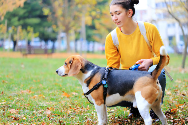 一个小女孩在公园里遛狗图片下载