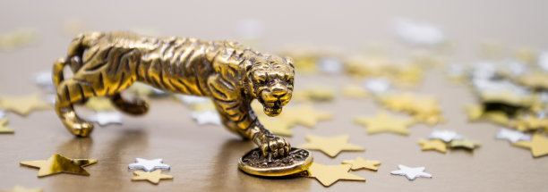 横幅上有铜雕老虎图案和一枚硬币——2022年中国农历新年的象征，背景是金色的星星，复制空间。祝你好运，财源滚滚图片下载