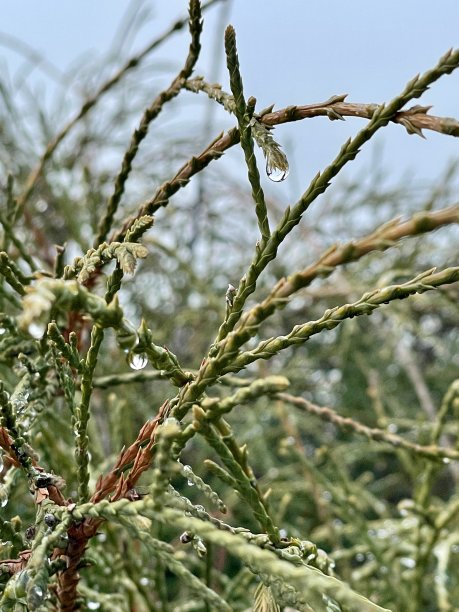 在自然界中下降图片下载