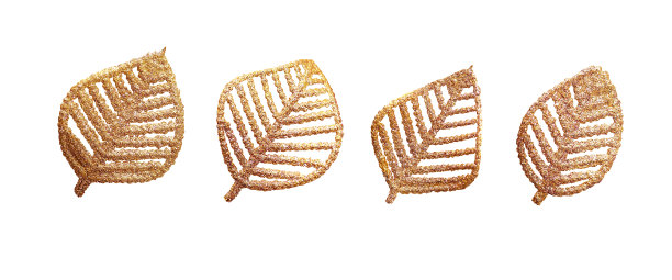 一套抽象的金色叶子孤立在白色的背景图片下载