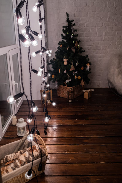 时尚的生活新年室内图片下载