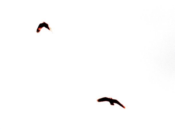 自由飞行图片下载