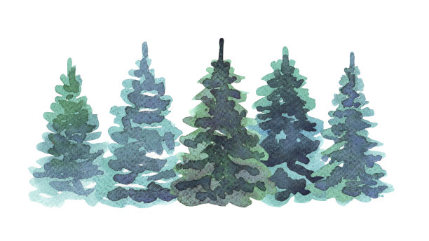 森林。水彩插图。手绘图片下载