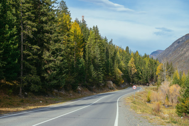 丰富多彩的秋天景观与黄叶落叶松沿着山区公路。针叶林与黄色落叶松沿着山路在秋天的颜色。公路在山区的秋天时间。图片下载