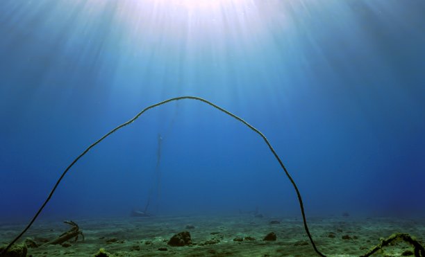 水下景观图片下载