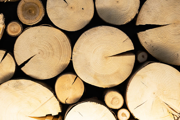 装饰墙板，切木环。用于室内设计的木材纹理。图片下载