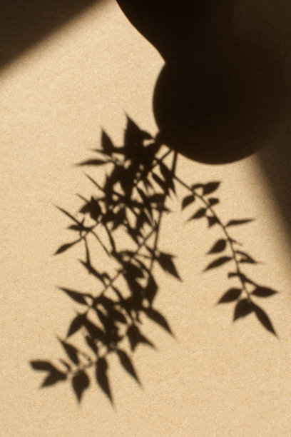 阴影自然米色背景。图片下载