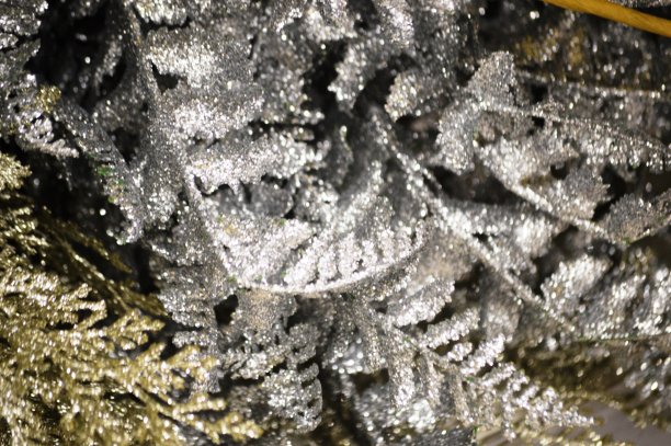 圣诞树枝图片下载