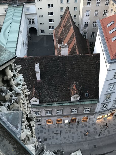 从圣斯蒂芬大教堂的屋顶俯瞰维也纳图片下载