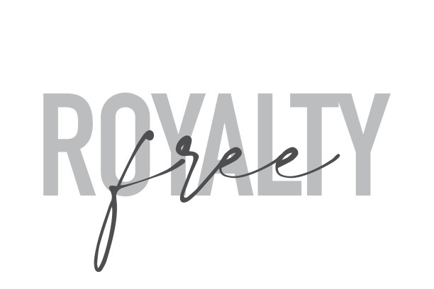 现代，简单，最小的字体设计一个说“免版税”灰色色调。酷，都市，时尚和好玩的图形矢量艺术图片下载