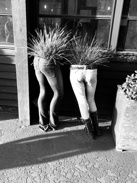 种植园主图片下载