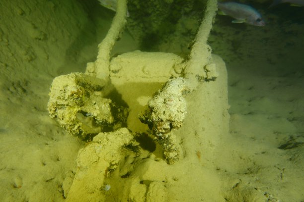 在帕劳群岛的沉船上潜水。图片下载