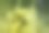 在帕劳群岛的沉船上潜水。图片下载