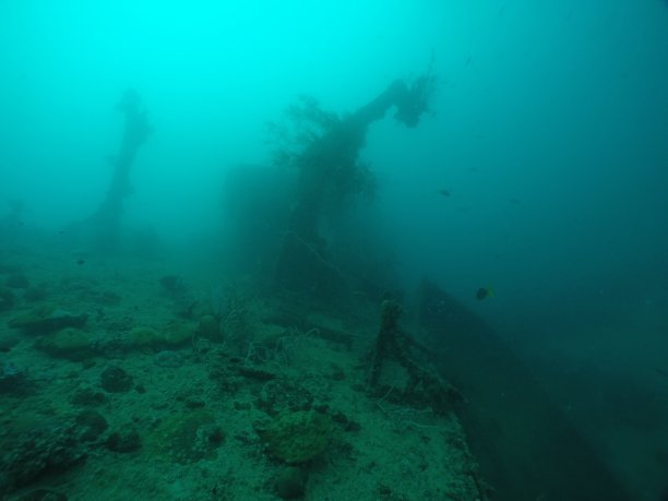 在帕劳群岛的沉船上潜水。图片下载