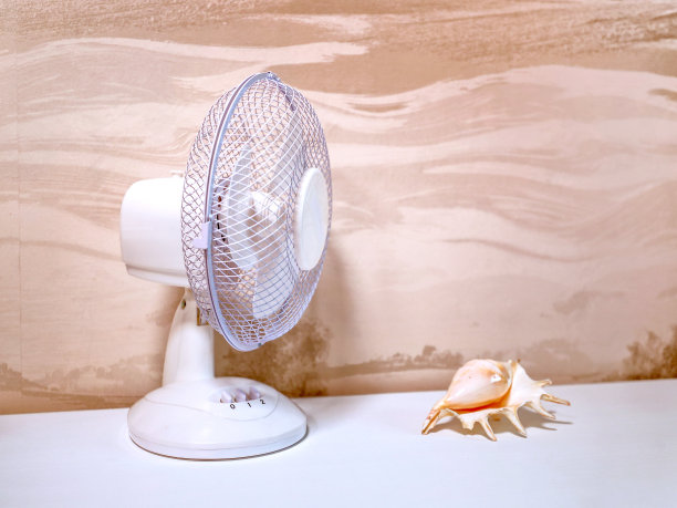 现代电风扇和纺锤贝壳图片下载