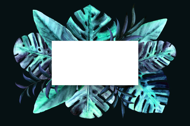 植物自然矩形框架水彩热带叶子在黑暗的背景。怪兽，棕榈，香蕉蓝叶子。文本。平面设计。图片下载