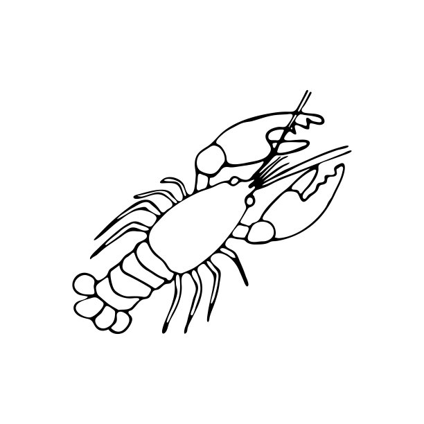 涂鸦海龙虾。珊瑚礁的居民。海洋、海底、水族馆中的甲壳类动物。手绘细线艺术矢量插图。孤立的简单元素图片下载