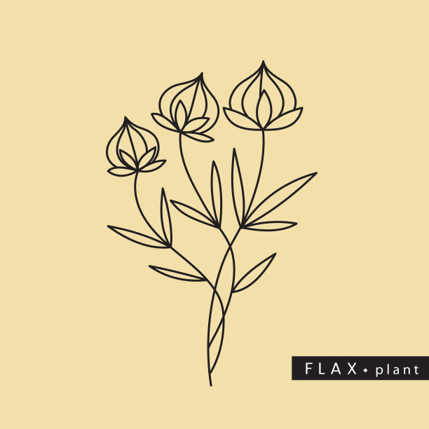 矢量插图栽培的干亚麻植物与种子在轮廓风格孤立在绿色背景。为医药，纺织和烹饪领域的会徽，标志，图标，印刷的亚麻种子绘图。图片下载