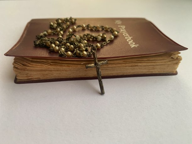 圣玫瑰和我的祈祷书图片下载