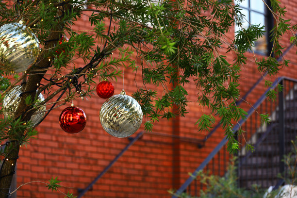 城市里的圣诞装饰图片下载