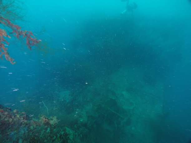 在帕劳群岛的沉船上潜水。图片下载