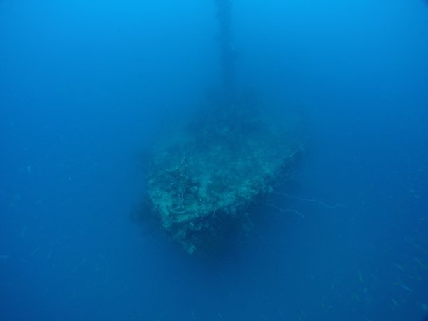 在帕劳群岛的沉船上潜水。图片下载