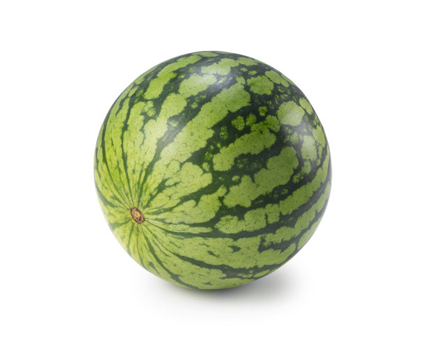 一个西瓜放在白色的背景上。图片下载