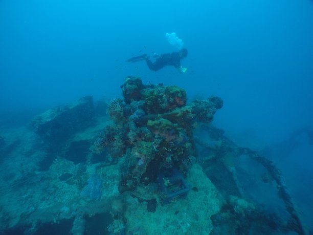 在帕劳群岛的沉船上潜水。图片下载