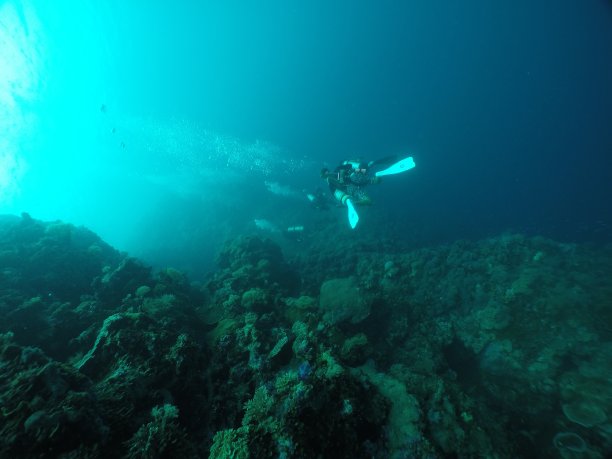 在帕劳的蓝洞潜水图片下载