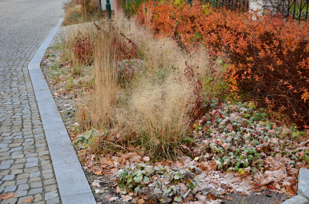 靠近广场的街道上，房子前面的多年生花坛覆盖着灰色的砾石。米色花岗岩鹅卵石小路由天然米色石材制成，秋天的干草，角木树篱图片下载