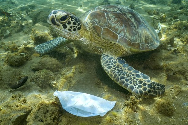 行星或塑料图片下载