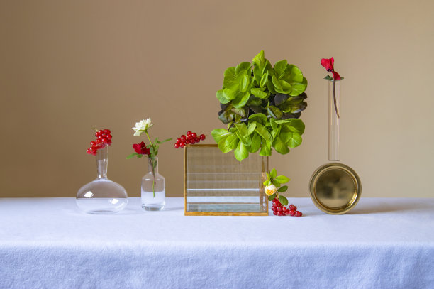 浆果和蔬菜的静物。不同形状的花瓶，主题概念，艺术图片下载