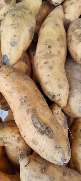 堆红薯照片图片下载