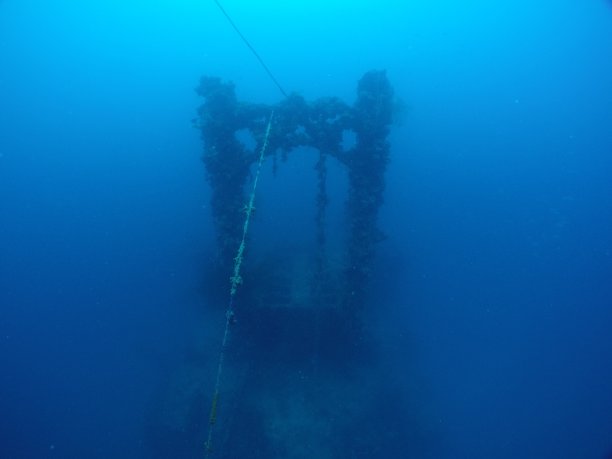 在帕劳群岛的沉船上潜水。图片下载